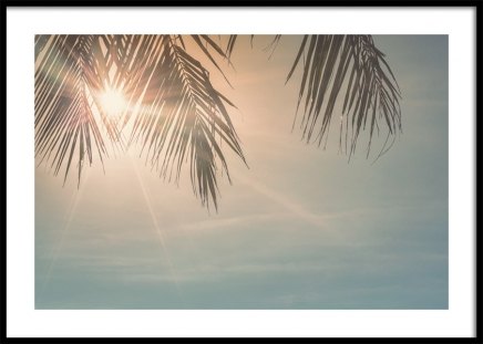 Sunset Palm Leaves Affiche dans le groupe Affiches / Nature chez Desenio AB (10882)
