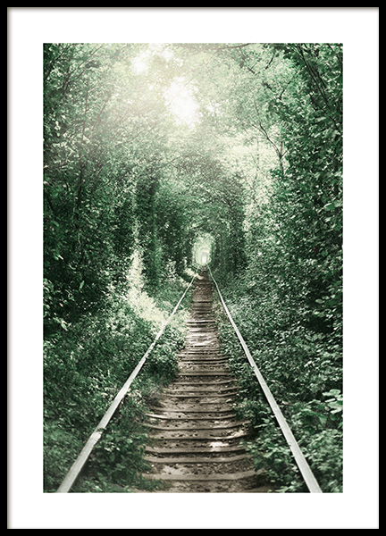 Forest Tunnel Affiche dans le groupe Affiches / Nature chez Desenio AB (11265)