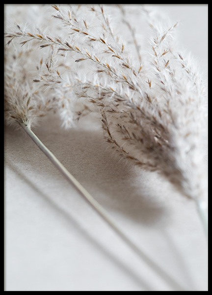 Close Up of Reeds Affiche dans le groupe Affiches / Photographie chez Desenio AB (11799)