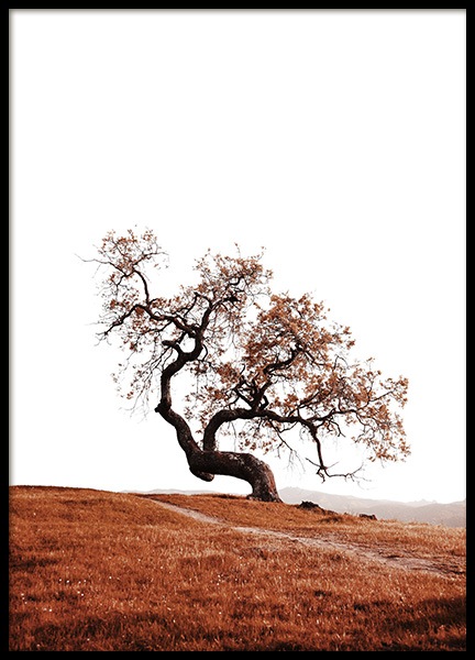 Tree on Hill Affiche dans le groupe Affiches / Nature chez Desenio AB (11869)