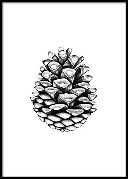 Pinecone Affiche dans le groupe Affiches / Noir et blanc chez Desenio AB (2274)