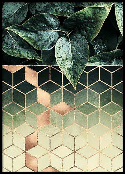 Leaves And Cubes Affiche dans le groupe Affiches / Art chez Desenio AB (2813)