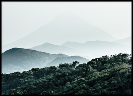 Forest Hills, Affiche dans le groupe Affiches / Nature chez Desenio AB (8307)