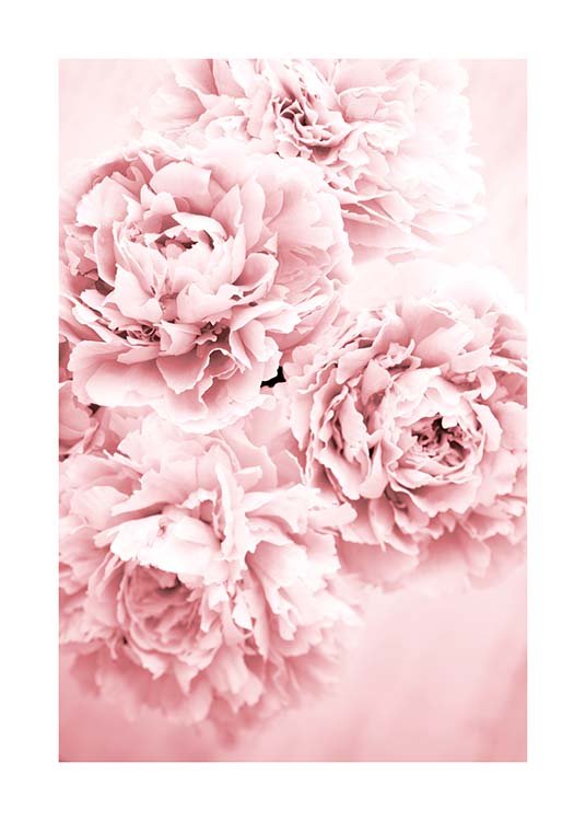 Pink Dream Affiche / Photographie chez Desenio AB (10054)