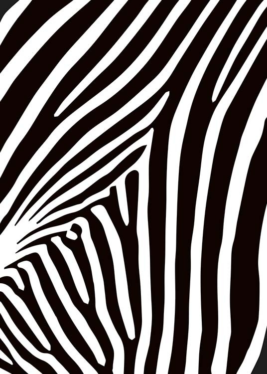Zebra Stripes Affiche / Noir et blanc chez Desenio AB (10154)