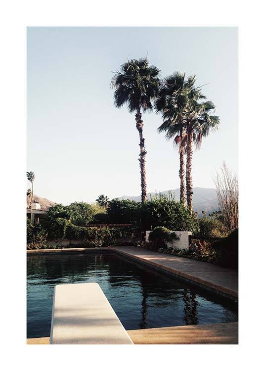 Palm Springs Pool Affiche / Nature chez Desenio AB (10222)