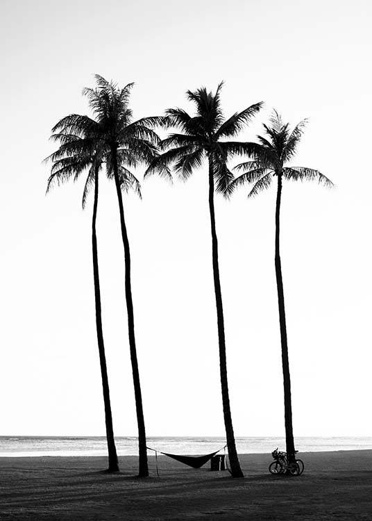  – Photographie en noir et blanc de palmiers sur une plage