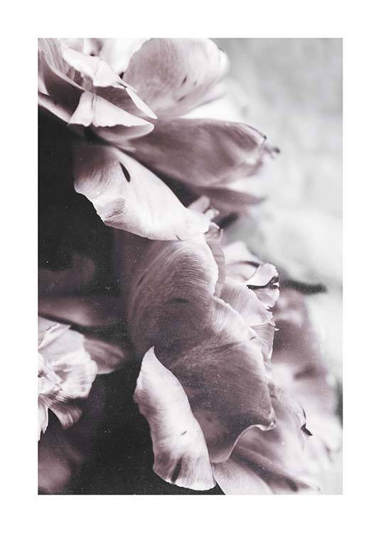 Touch Of Spring Affiche / Photographie chez Desenio AB (10416)