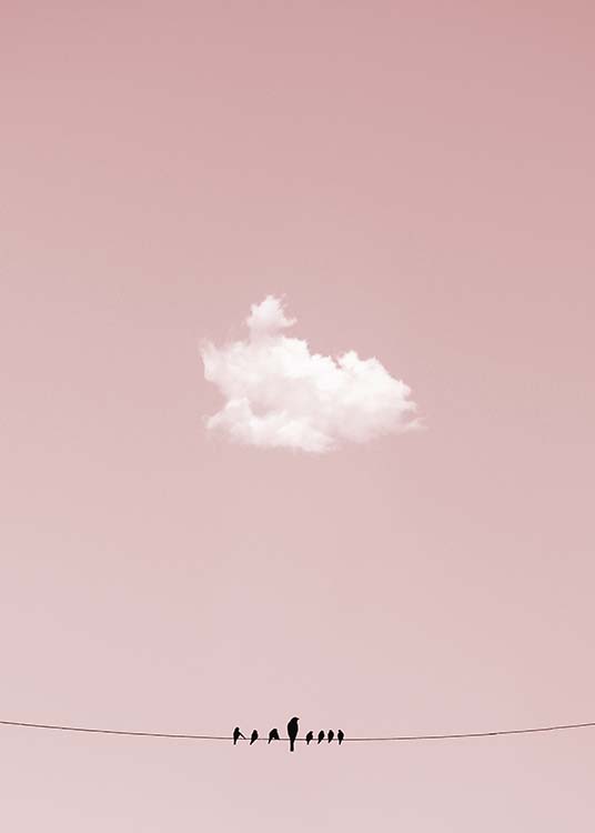  – Poster d'une photo montrant des oiseaux posés sur une ligne électrique, avec un ciel rose en fond