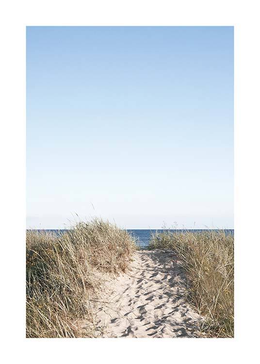 Path on beach Affiche / Nature chez Desenio AB (10477)