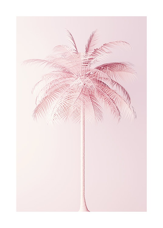 Pastel Pink Palm Affiche / Botanique chez Desenio AB (10635)