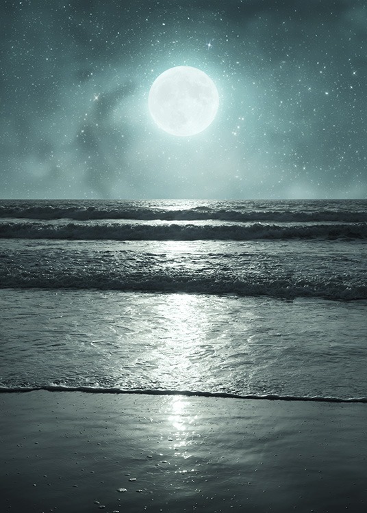  – Poster photographique d'une nuit tropicale au bord de l'eau avec des étoiles brillantes dans le ciel 