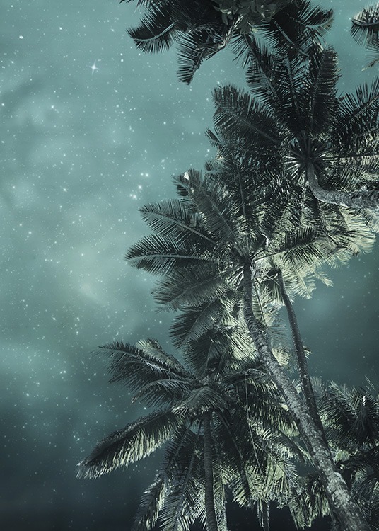 – Poster photographique d'un ciel étoilé vu depuis les pieds de palmiers