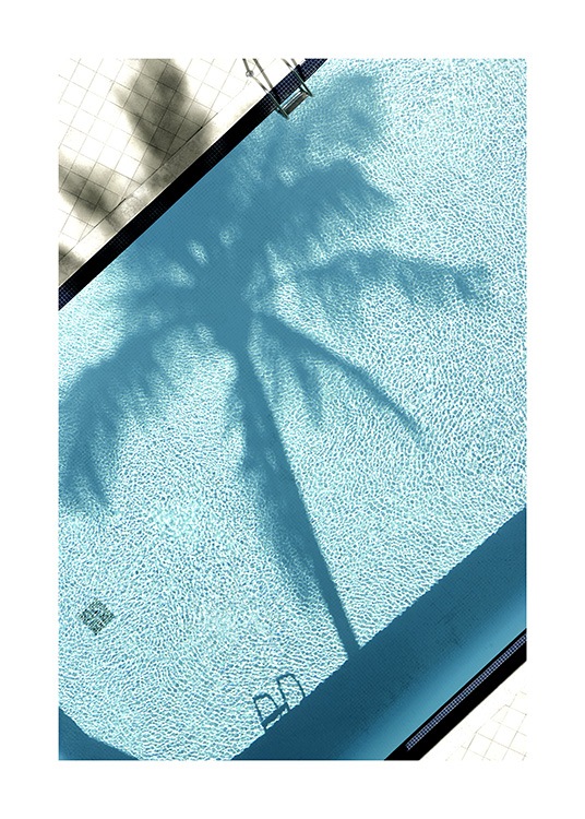 Pool and Palm Tree Affiche / Photographie chez Desenio AB (10668)