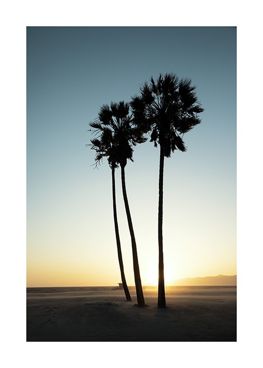 Los Angeles Sunset Affiche / Tropical chez Desenio AB (10786)