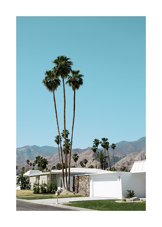Street of Palm Springs Affiche / 70x100 cm chez Desenio AB (10790)