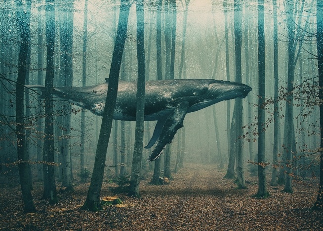  – Affiche d’art avec une baleine dans une forêt, nageant entre des arbres