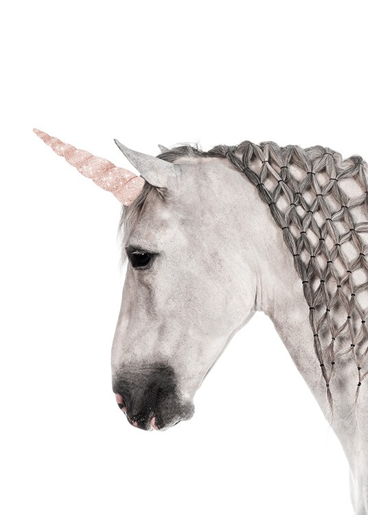  – Poster animalier d'une licorne magique dont la crinière est tressée