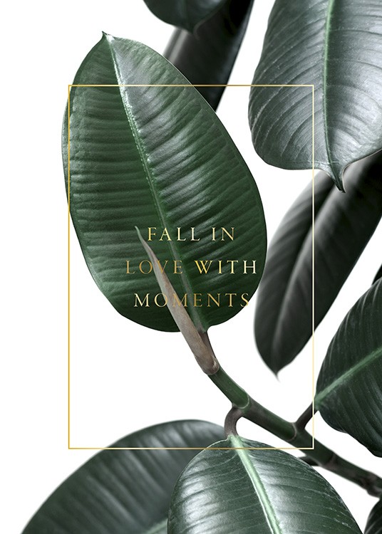  – Photographie de feuilles vertes d’un figuier en caoutchouc avec du texte doré et une bordure dorée au milieu