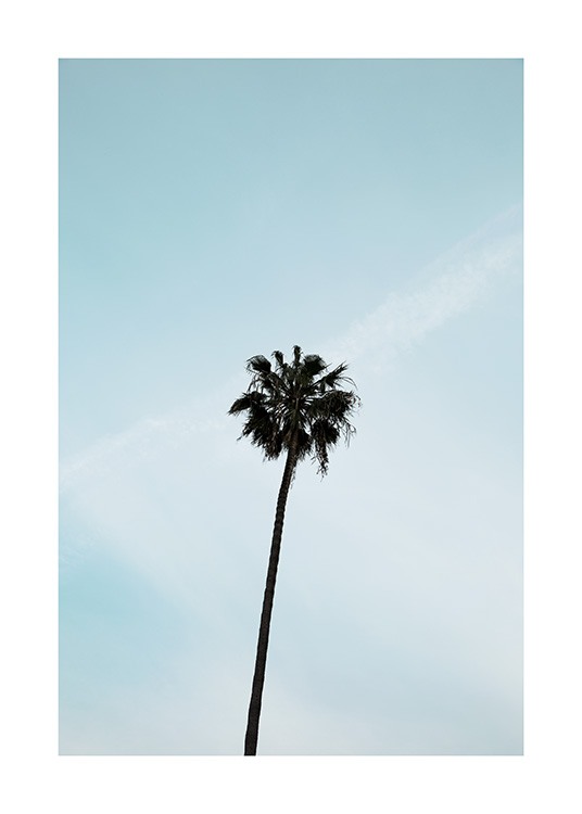 Palm Tree Affiche / Nature chez Desenio AB (10955)