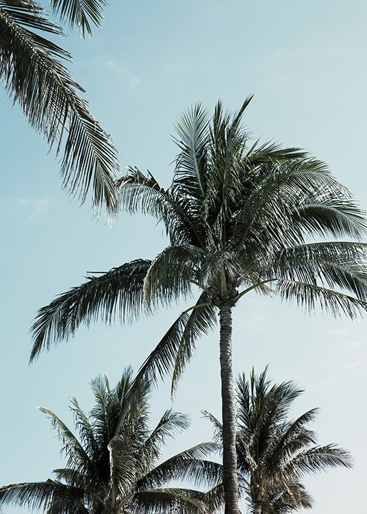 Tropical Palms No1 Affiche / Tropical chez Desenio AB (10958)