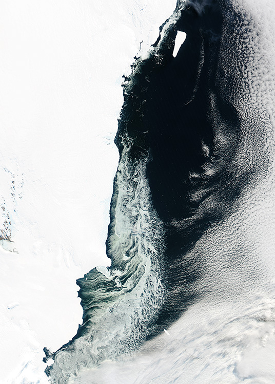 Sea Ice Affiche / Nature chez Desenio AB (11158)