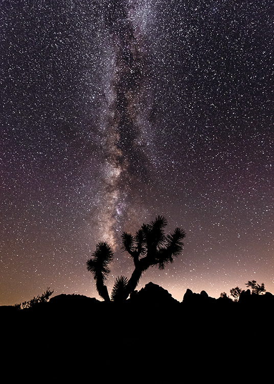 – Photographie d''arbres dans un ciel nocturne rempli d''étoiles 