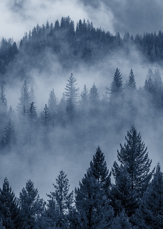  – Poster photographique d'une forêt qui semble devenir bleue dans la brume 