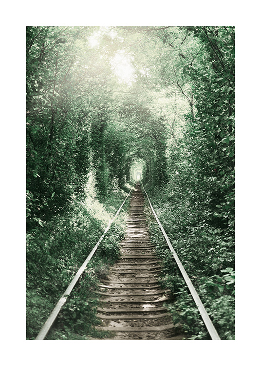 Forest Tunnel Affiche / Nature chez Desenio AB (11265)