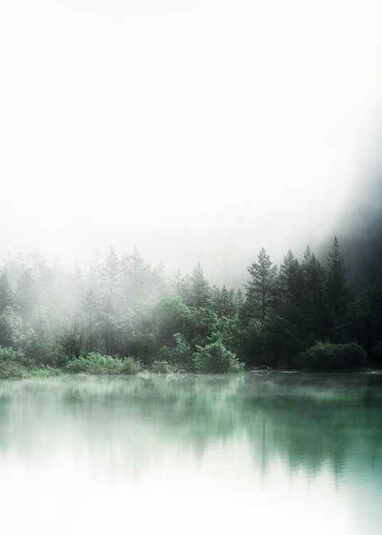  – Photographie d’un lac devant une forêt avec des arbres verts se reflétant dans le lac