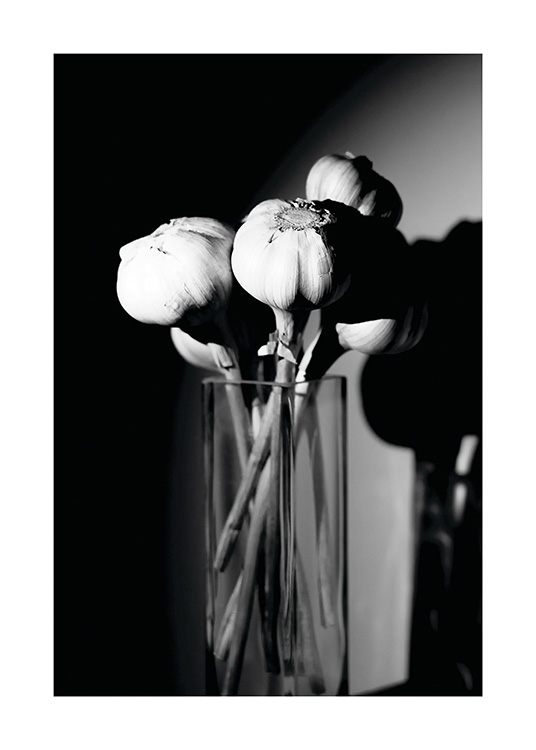 Garlic in a Vase Affiche / Noir et blanc chez Desenio AB (11278)