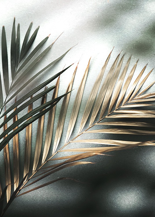  – Photographie de deux feuilles de palmier dorées et vertes sur un fond en pierre