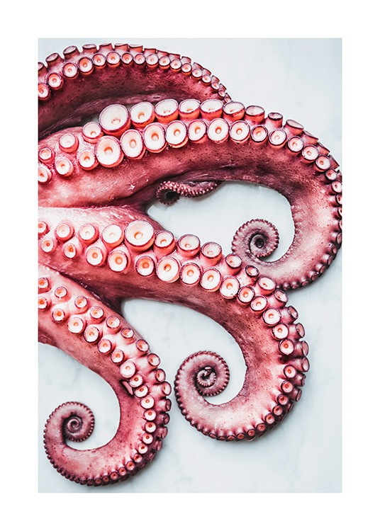 Octopus Arms Affiche / Affiches cuisine chez Desenio AB (11519)