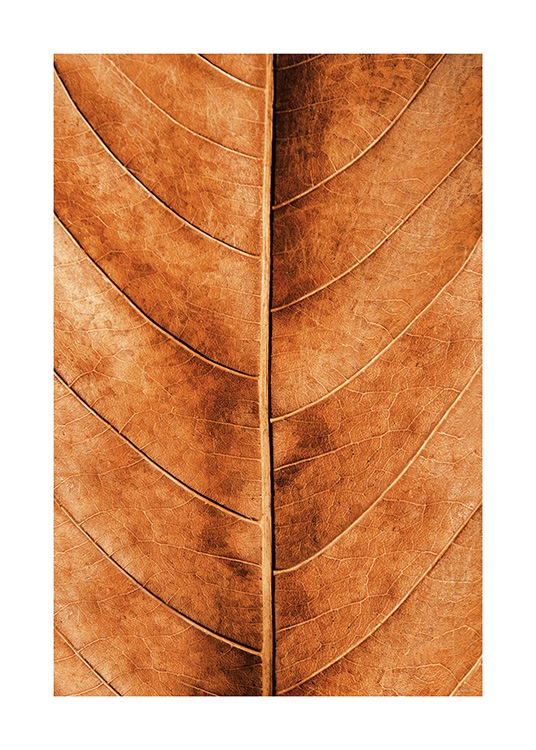 Autumn Leaf Affiche / Nature chez Desenio AB (11575)