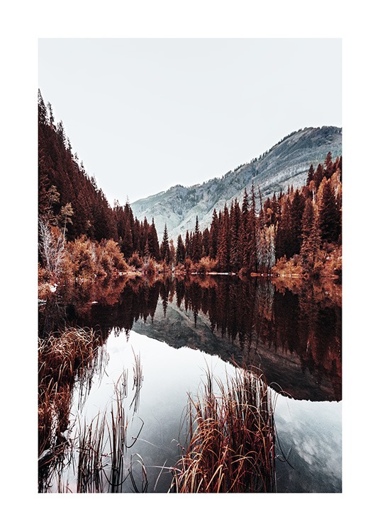 - Affiche d'un lac avec des montagnes et des arbres par temps froid