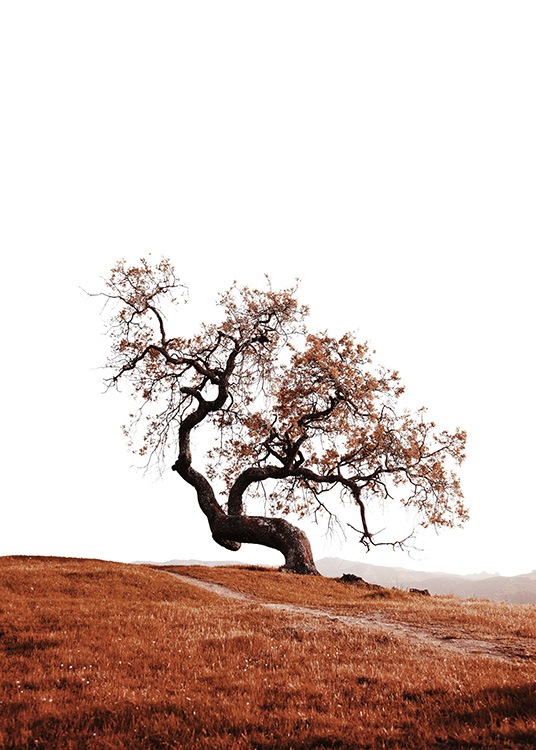 '–Affiche d''un arbre sur une colline. '