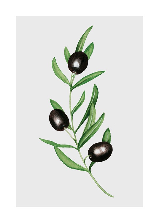 Olives Affiche / Affiches cuisine chez Desenio AB (11960)