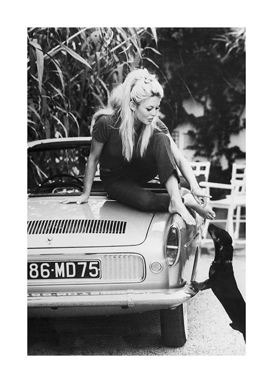  – Photographie en noir et blanc de Brigitte Bardot tendant la main vers un chien depuis une voiture