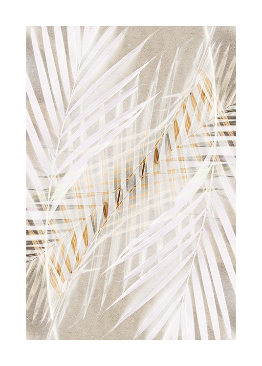 White Palm Leaves Affiche / Photographie chez Desenio AB (12059)