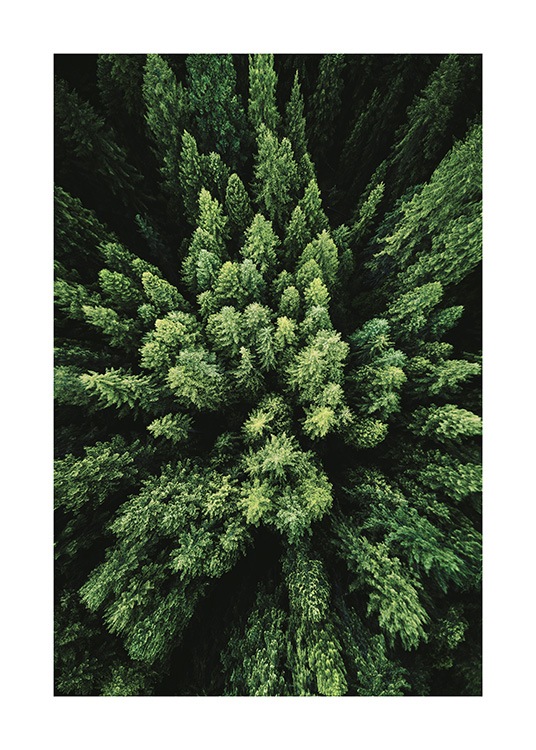 Aerial Forest Affiche / Nature chez Desenio AB (12083)