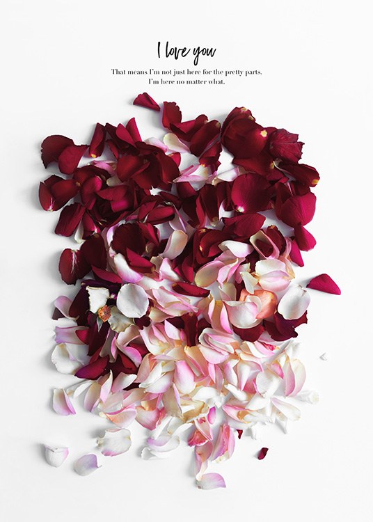 Rose Petals Affiche / Art chez Desenio AB (12144)