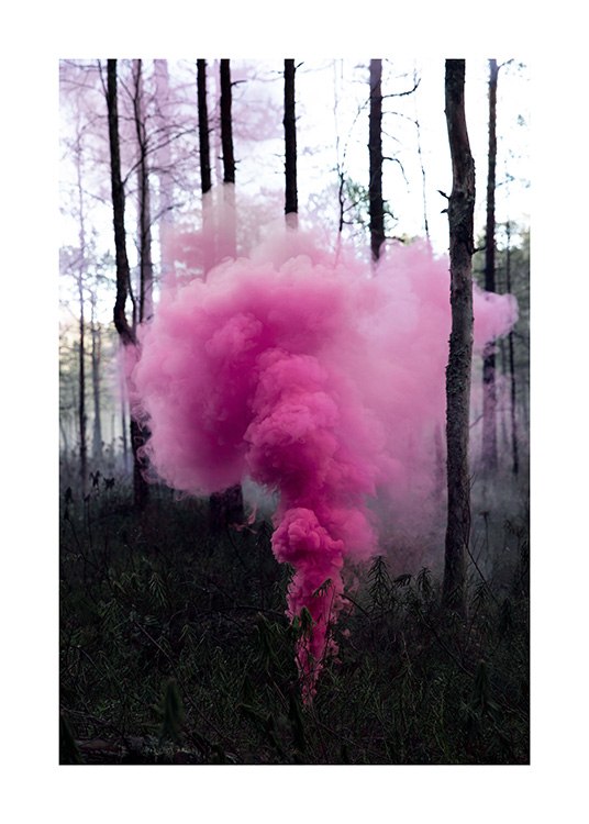 Pink Forest Affiche / 50x70 cm chez Desenio AB (12175)
