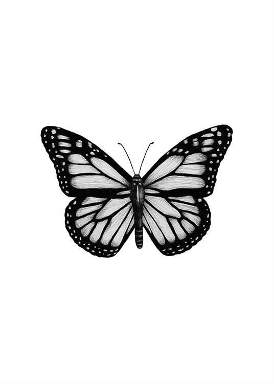 Butterfly Drawing Affiche / Noir et blanc chez Desenio AB (12307)