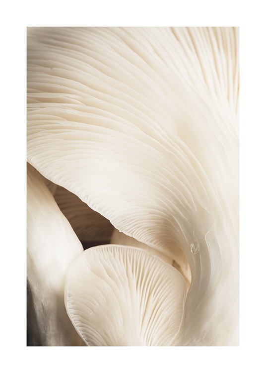 Beige Mushrooms Affiche / Photographie chez Desenio AB (12397)