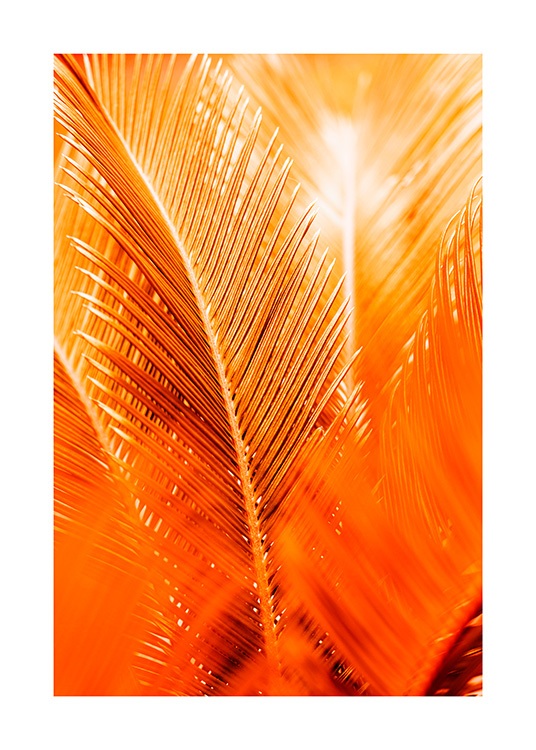 Orange and Gold Palm Affiche / Botanique chez Desenio AB (12403)
