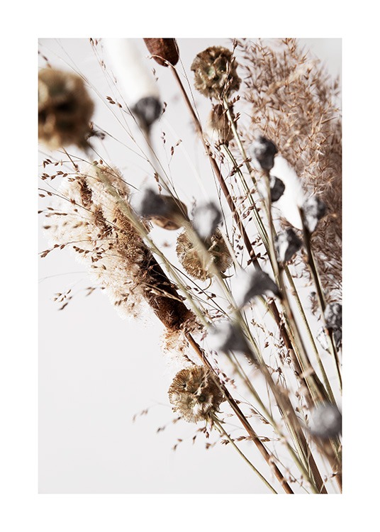 Dry Reeds No2 Affiche / Photographie chez Desenio AB (12420)
