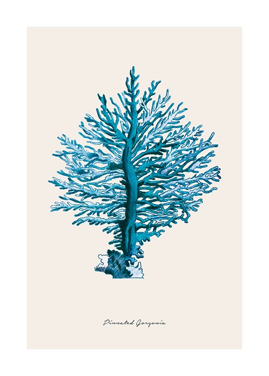 Blue Pinnated Gorgonia Affiche / Nature chez Desenio AB (12430)