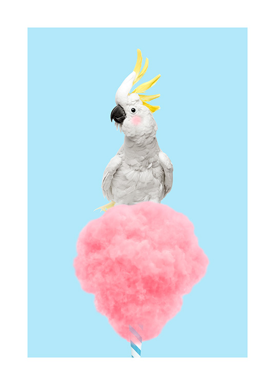 Cotton Candy Cockatoo Affiche / Oiseaux chez Desenio AB (12478)