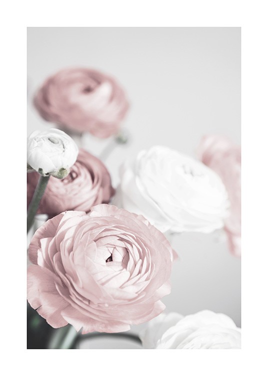 Lovely Roses Affiche / Photographie chez Desenio AB (12654)