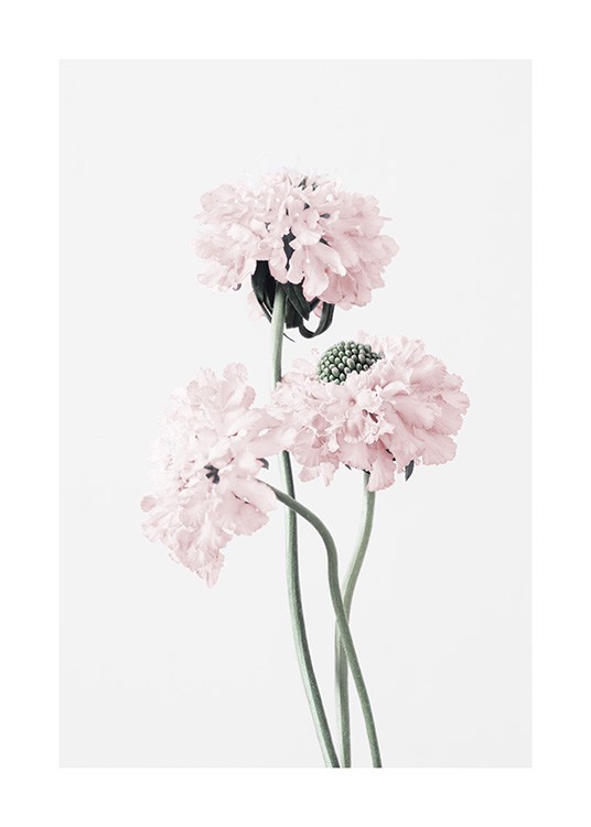 Summery Flowers Affiche / Photographie chez Desenio AB (12657)